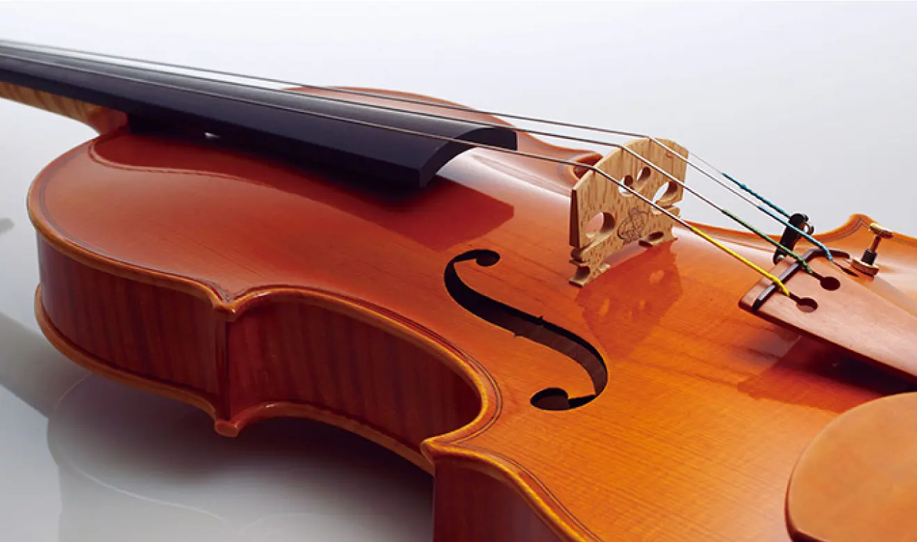 Музикални дни „Проф. Недялка Симеонова“